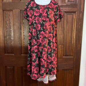 LuLaRoe Pink Floral Grunge distressed Carly Small Soft flowers roses
